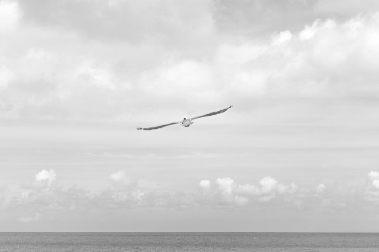 Qui necessitatibus sapiente