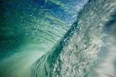 Et necessitatibus saepe commodi aut